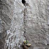 dailyPhoto20